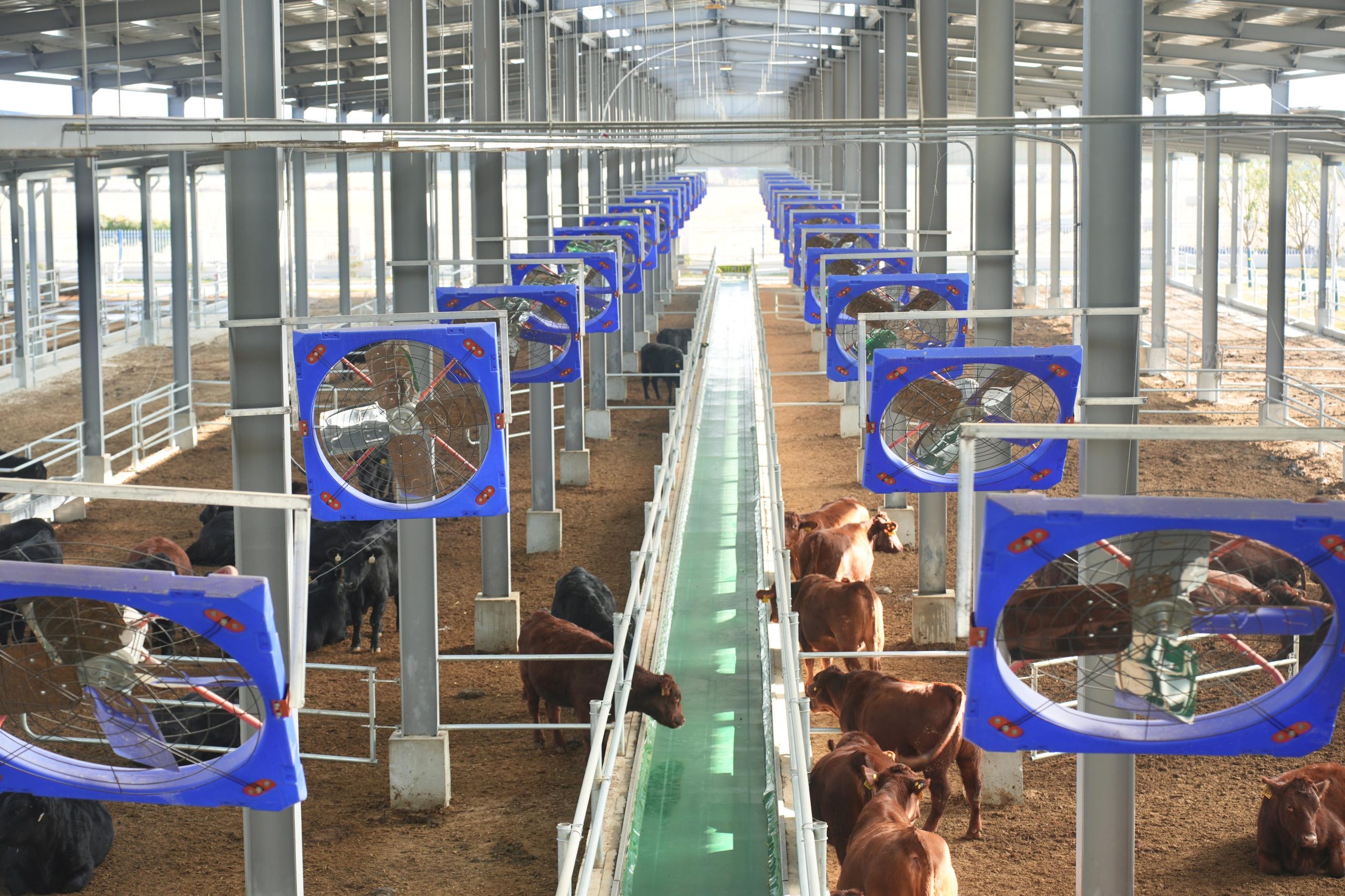 规模化养殖场物料输送软管选型：饲料/清水/消毒液场景，耐磨抗腐适配高负荷插图